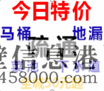 【專業(yè)疏通】低價(jià)馬桶疏通、下水道疏通、蹲便、衛(wèi)生間有異味、換