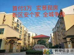首付3萬(wàn)，新區(qū)安個(gè)家